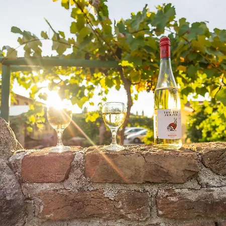 Moravská Oáza Affittacamere